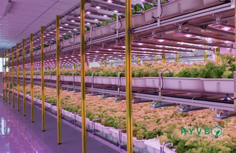 Hyve Indoor Farming Systems Urban Ag News