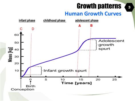 Ppt Growth Patterns Powerpoint Presentation Id792356