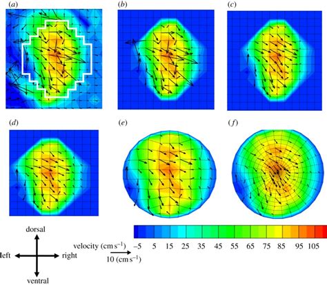 Mri Data At Different Stages Of Processing A Unwrapped Offset Data