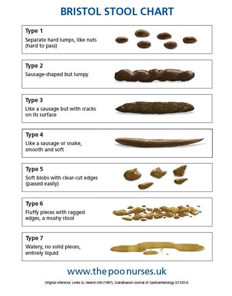 Why Is My Poop Green Stool Colors Explained Types Of Poop What