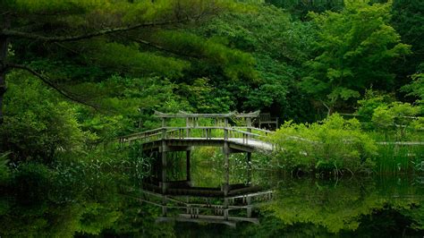 Bridge In Forest Lake Wallpapers Hd Desktop And Mobile