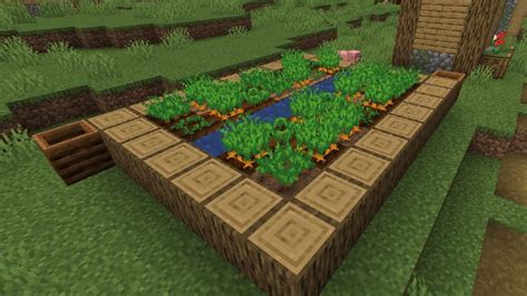 How To Grow Carrots In Minecraft Diamondlobby