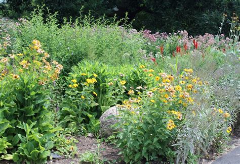 10 Ways To Make Your Yard More Friendly To Bees And Other Pollinators