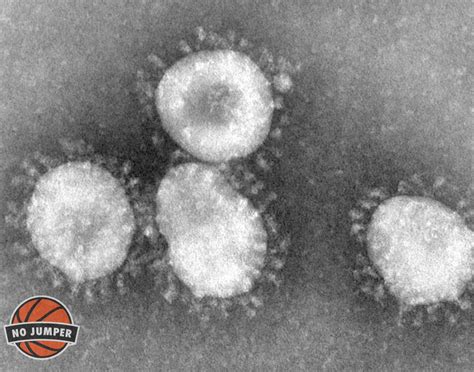 No Jumper On Twitter Scientists Awaken Zombie Viruses That Had Been