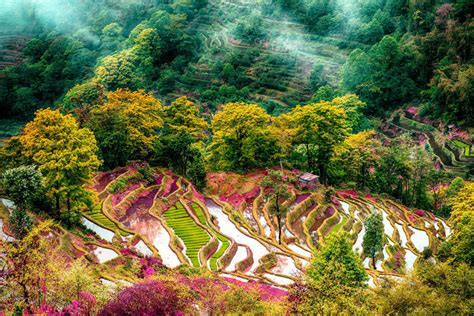 Chinas Rice Terraces — The Most Beautiful In The World