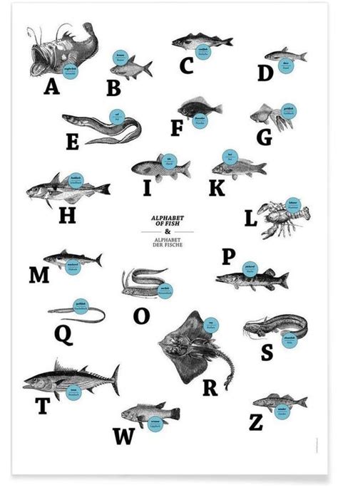 Alphabet Of Fish Animal Abc Poster Juniqe