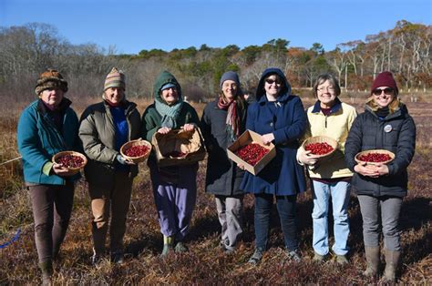 Ferdinand church office, guidelines and additional information at gleanersfoodbankcranberry.com. The Vineyard Gazette - Martha's Vineyard News | The Hidden ...