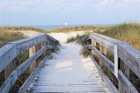 10 Things To Do In Floridas Forgotten Coast Florida Travel Coast