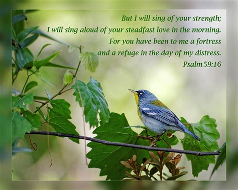 Psalms 59 16 Photograph By Dawn Currie