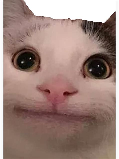 Polite Cat Meme Funny Cat Meme Spiral Notebook By Elevengraphics