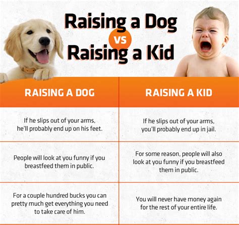 Chart Raising A Dog Vs Raising A Kid