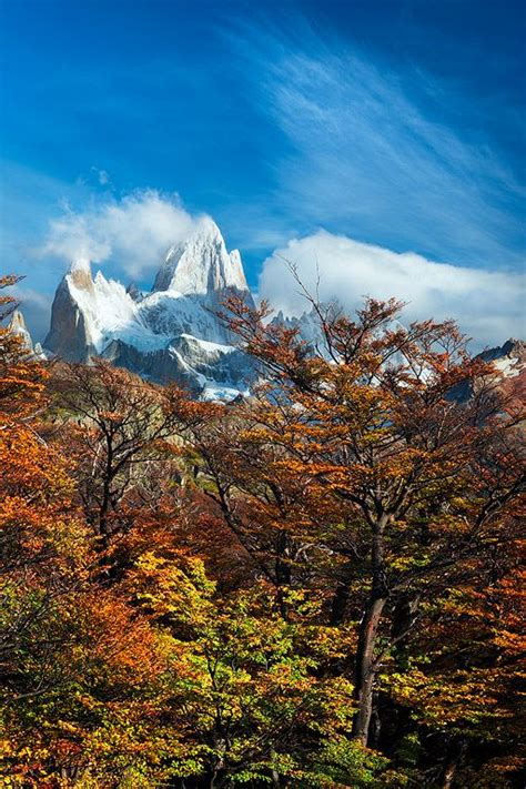 Discover The Wonder Of The Los Glaciares National Park In