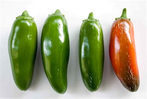 Tip How To Check For The Hotness Of Jalapeños Stuffed Peppers Stuffed
