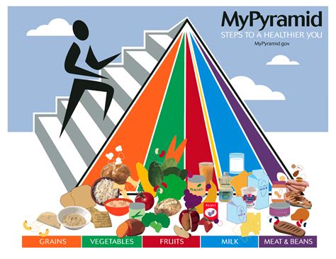 The Conspiracy Of The Food Pyramid New Trends In Nutrition