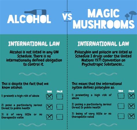 Magic Mushroom Alcohol All Mushroom Info