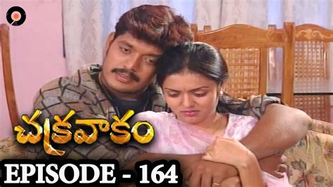 Episode 164 Chakravakam Telugu Daily Serial Youtube