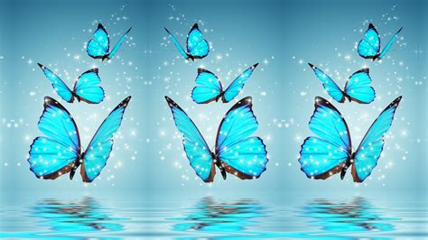 Blue Butterfly Desktop Backgrounds Hd Cute Wallpapers 2024