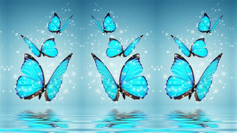 Blue Butterfly Desktop Backgrounds HD | 2020 Cute Wallpapers We compile the cutest pictures from internet to make it easier for you to.