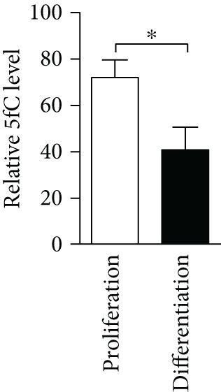 Dna Demethylation In Cultured Anscs Dna Dot Blots Of 5hmc 5fc And