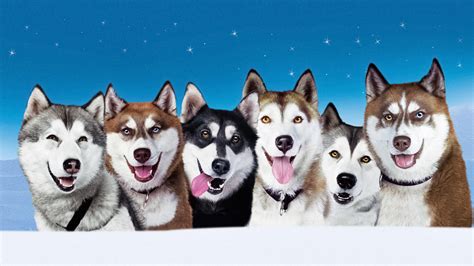 Snow Dogs Movie Fanart Fanarttv