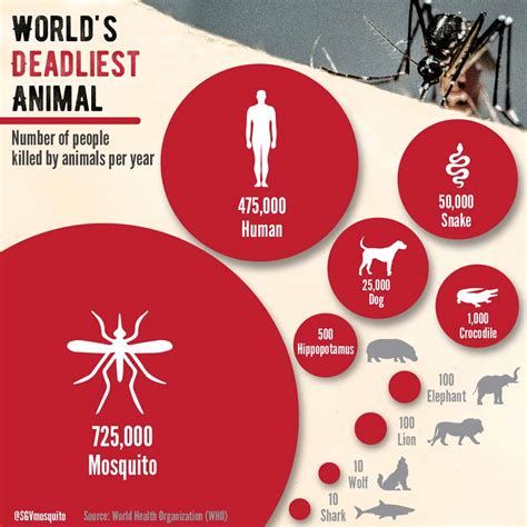 Size Doesnt Matter To The Deadliest Animal In The World Daily