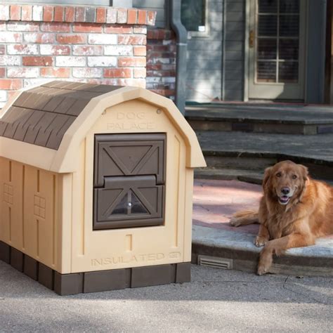 Large Heated Outdoor Insulated Dog House Zincera