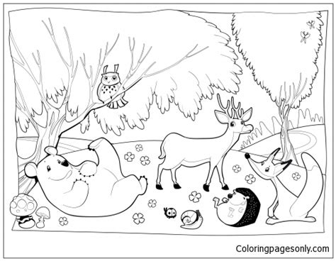 Deciduous Forest Animal Coloring Pages Coloring Pages