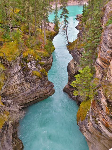Athabasca Falls Gorge Alberta Canada Hd Wallpaper