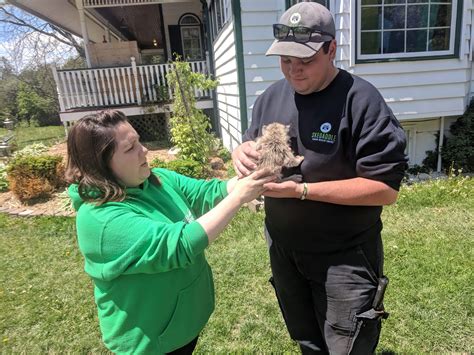 Skedaddle Partners with Soper Creek Wildlife Rehab Centre