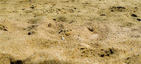 Sand Free Stock Photo Public Domain Pictures