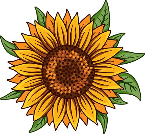 Sunflower Svg Png White Sunflower Drawing Sunflower Clipart