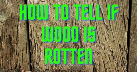 How To Tell If Firewood Is Rotten Archives Thewoodweb