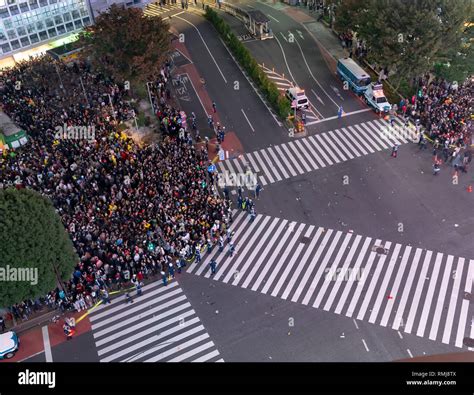 Pedestrians Crosswalk At Shibuya District In Tokyo Japan Shibuya