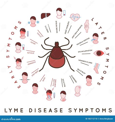 Tick Disease Poster Cartoon Vector 183733247