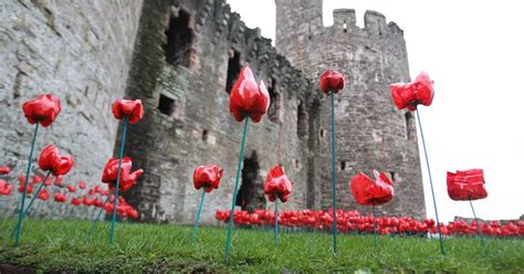 Conwy Castles Poignant Red Poppy Display For Remembrance Sunday