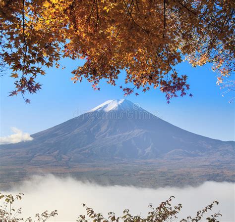 Mt Fuji With Fall Colors In Japan Stock Photo Image Of Volcano