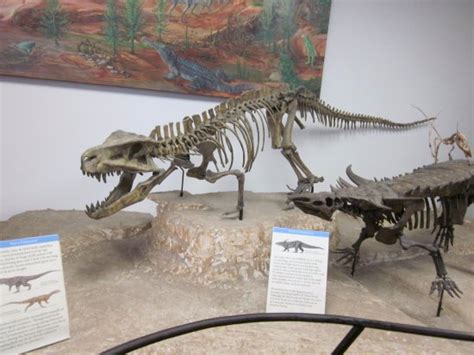 Rainbow Forest Museum Petrified Forest National Park 2021 All You
