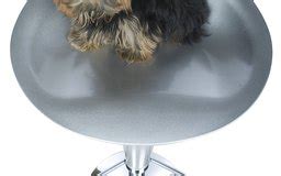 Diy dog grooming table easy to follow guide and expert s advice. Homemade Dog-Grooming Table | Dog Care - The Daily Puppy