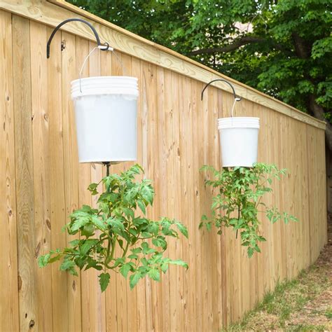16 Creative Ideas For Hanging Plants Outdoors Hanging Tomato Plants