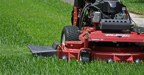 Professional tree removal services have the skills and equipment necessary to remove even large if the tree is smaller than around 10 inches in diameter, you can remove it yourself as long as you have. Mow your lawn today - Lawn and Landscaping in DC, Maryland ...