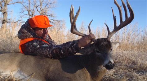 Nebraska Deer Hunting Whitetails Or Mule Deer Outdoors International