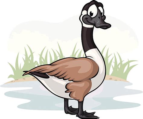 clipart goose 20 free cliparts download images on clipground 2024