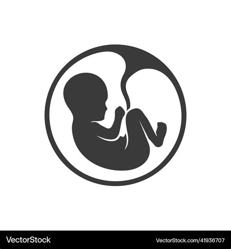 Fetus Icon Baby In The Womb Images Royalty Free Vector Image