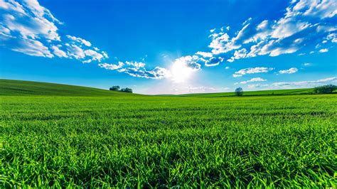 壁纸 绿色的田野，蓝蓝的天空，云，太阳，美丽的夏天 3840x2160 Uhd 4k 高清壁纸 图片 照片