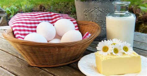 Makanan protein dan kalsium tinggi. 13 Makanan yang Mengandung Kalsium, Sumber Kalsium Tinggi!