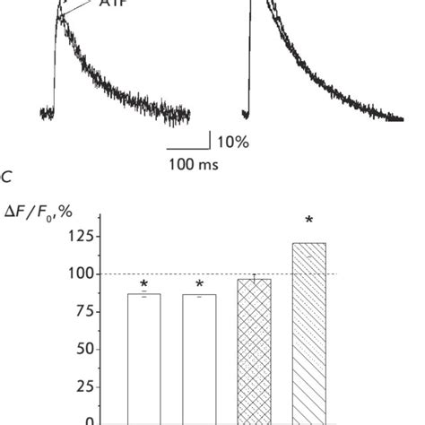 Atp Induced Reduction In The Calcium Transient Amplitude Is Associated Download High