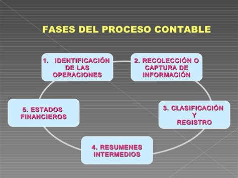 Fases Del Proceso Contable Images And Photos Finder