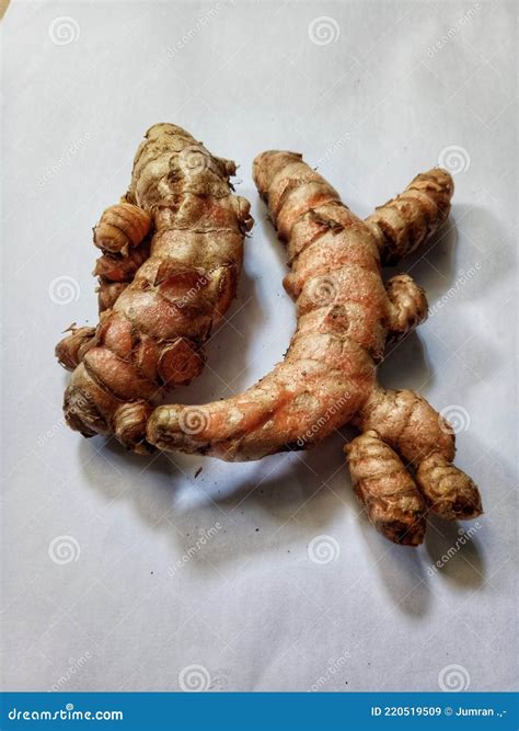 Turmeric Is Commonly Used As A Spice Or Traditional Medicine Stock