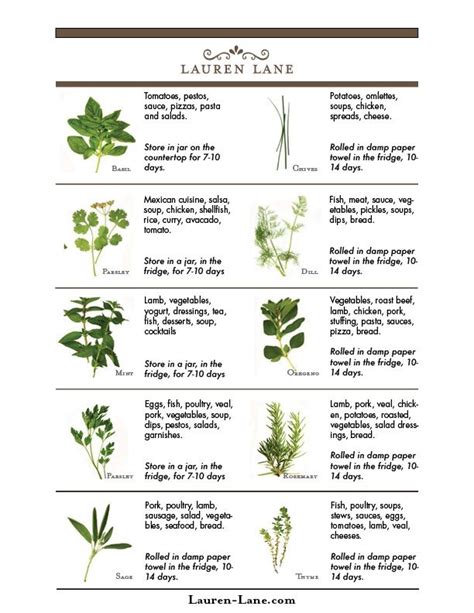 Herb Chart And Uses