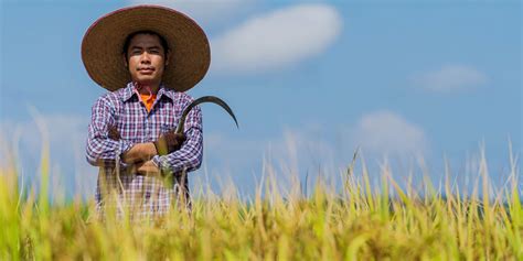 How To Encourage Young People To Take Up Agriculture And Farming